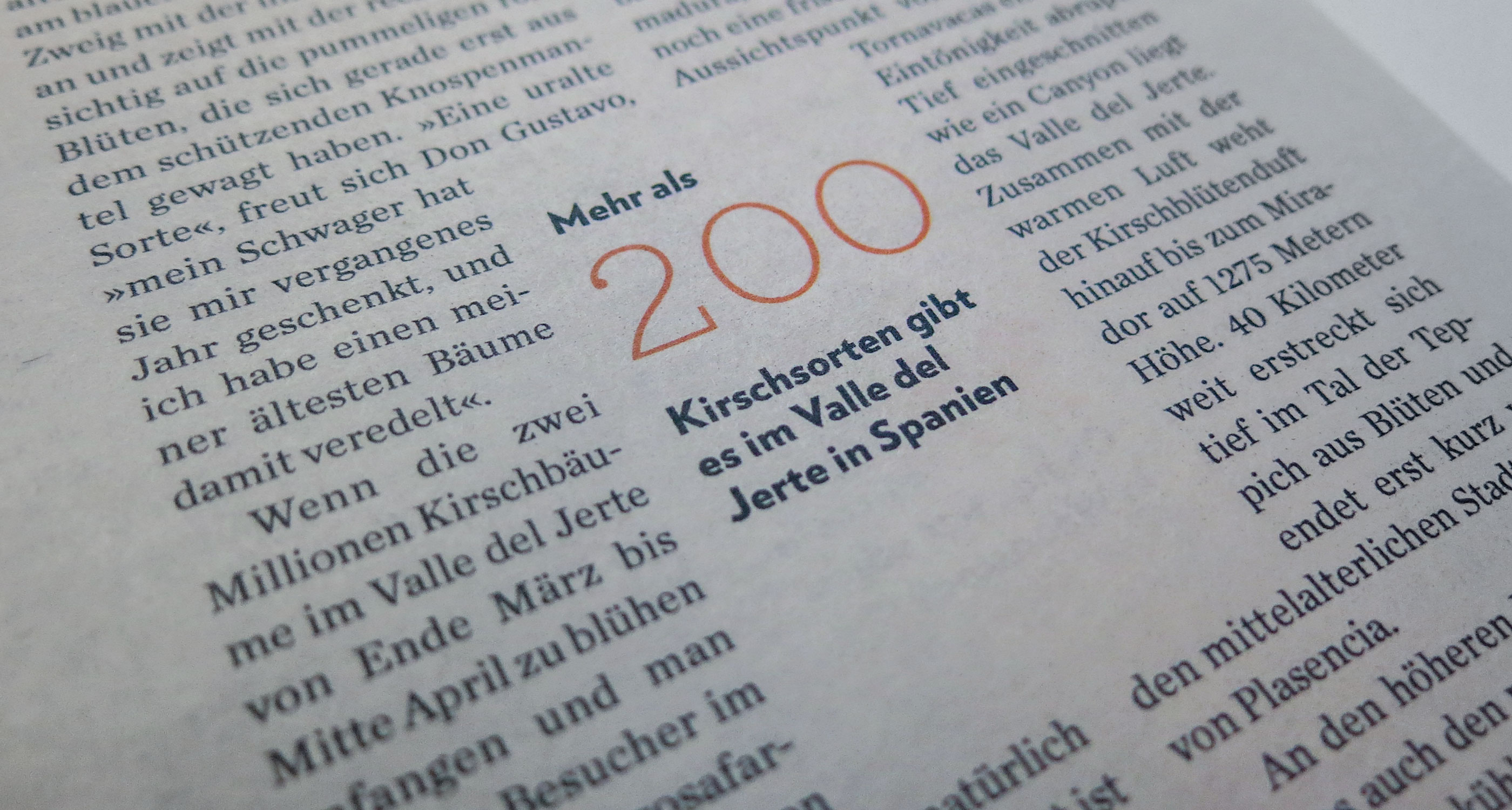 Fragment Zeitung Image 4